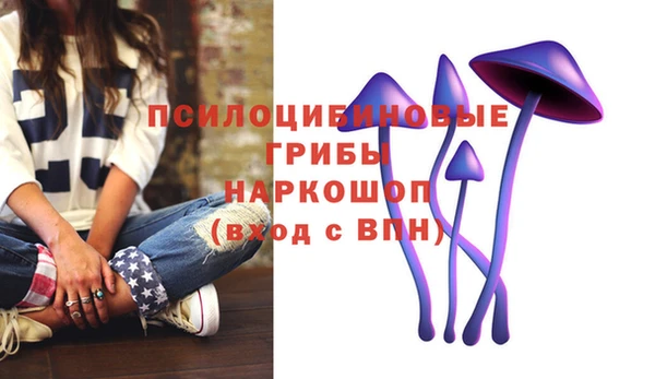 мяу мяу мука Заволжск