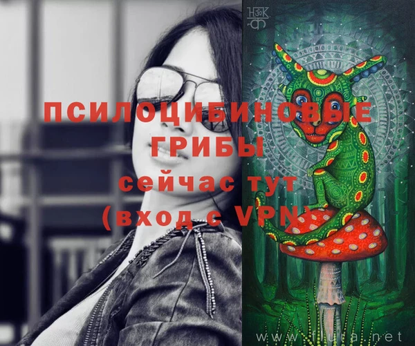мяу мяу мука Заволжск