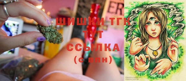 мдпв Заводоуковск