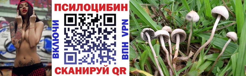 Галлюциногенные грибы мухоморы где купить наркоту Калач-на-Дону